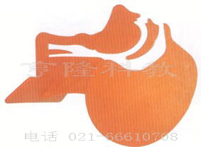 ｜急救救援模型｜急救器材｜急救設(shè)備｜氣道開放模型