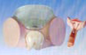 計(jì)生操作實(shí)習(xí)模型|避孕藥具操作實(shí)習(xí)教學(xué)模型