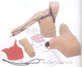 護(hù)理模型|外周穿刺、中心靜脈穿刺插管模型