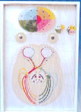 電動教學(xué)模型｜視覺傳導(dǎo)瞳孔對光反射電動模型