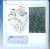 醫(yī)學(xué)模型｜心臟傳導(dǎo)系電動模型