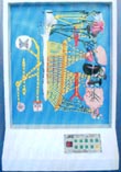 電動醫(yī)學(xué)模型｜自主神經(jīng)電動模型