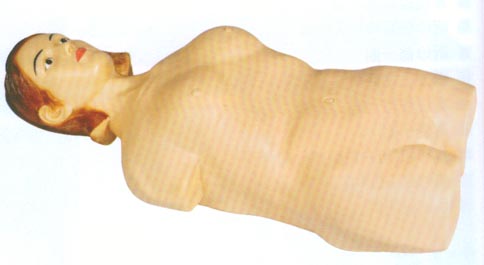 臨床診斷專業(yè)技能訓(xùn)練模型|數(shù)字遙控式電腦腹部觸診模擬人（女性）