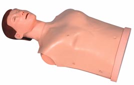 觸電急救培訓(xùn)模型｜半身心肺復(fù)蘇訓(xùn)練模擬人(簡易型)