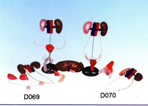 計(jì)生訓(xùn)練模型|男性泌尿生殖系統(tǒng)解剖模型