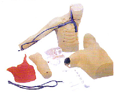 臨床技能模型|外周穿刺、中心靜脈穿刺插管模型