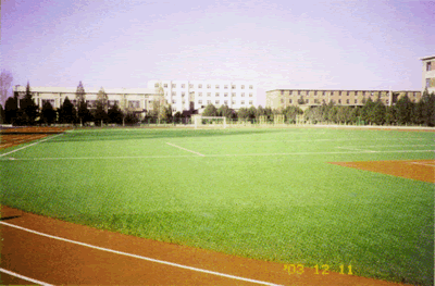 工程體育場(chǎng)地｜ 人造草坪