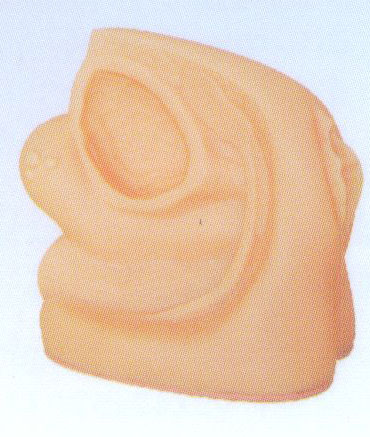 高級(jí)女性內(nèi)外生殖器模型