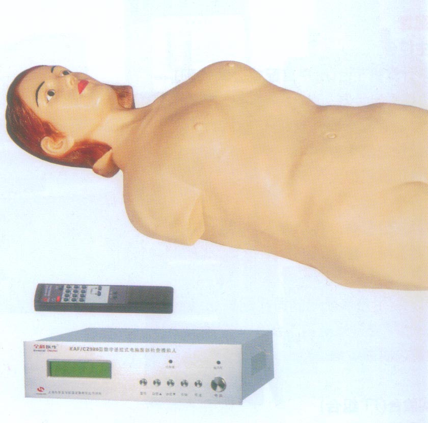 數(shù)字遙控式電腦腹部觸診模擬人