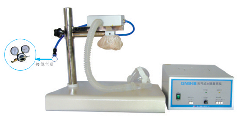 充氣式心肺復(fù)蘇儀|心肺復(fù)蘇儀｜心肺復(fù)蘇機(jī)