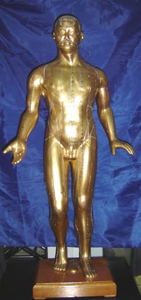 針灸銅人｜中醫(yī)針灸銅人|十四經(jīng)穴針灸銅人模型（100CM）