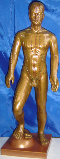 中醫(yī)人體針灸模型|運(yùn)動(dòng)式古銅色人體針灸模型（85CM）