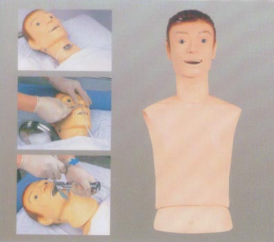 高級(jí)鼻胃管與氣管護(hù)理模型