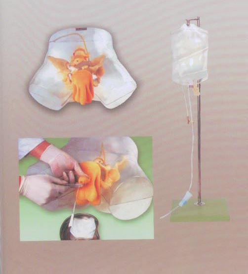 透明男性導(dǎo)尿模型