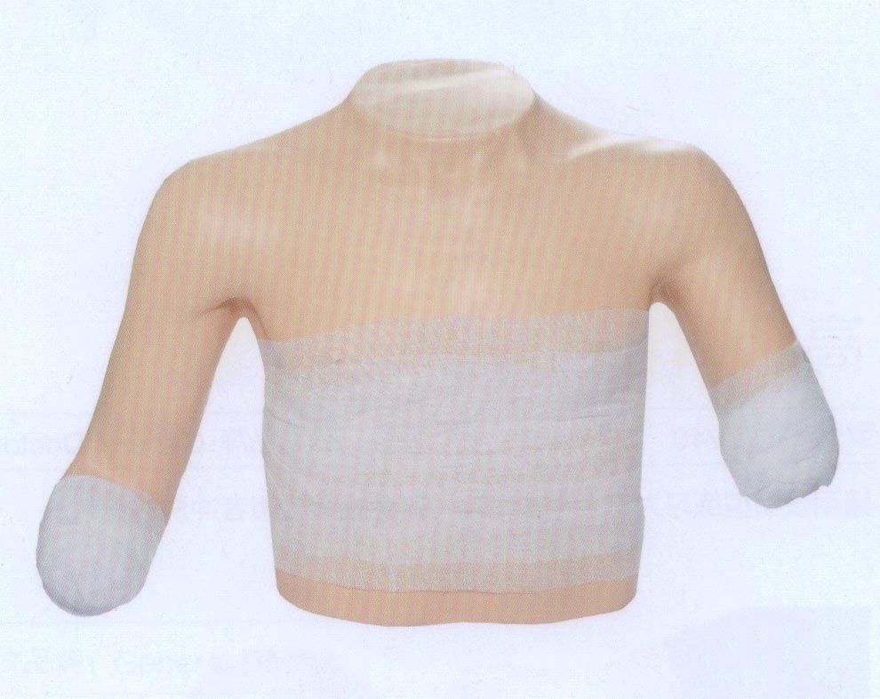 高級高位包扎模型