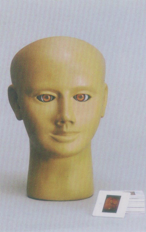 高級眼內(nèi)視網(wǎng)膜病變檢查模型