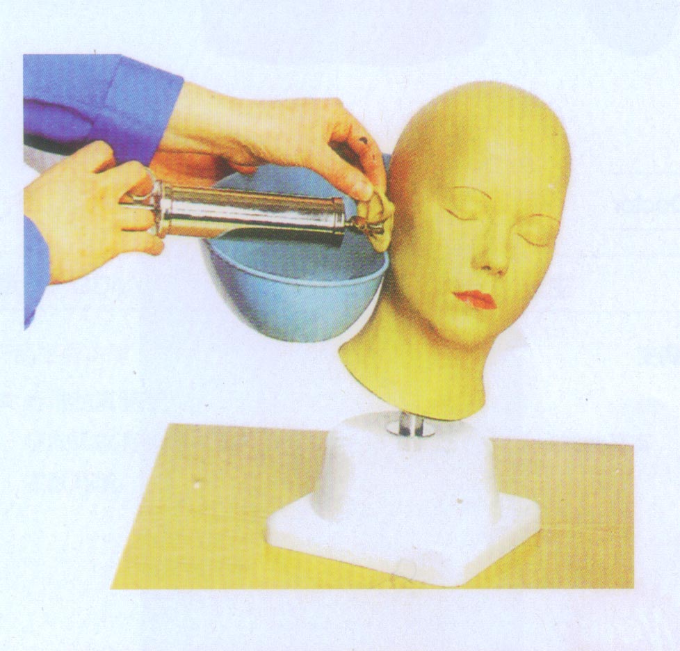 高級耳沖洗訓(xùn)練模型