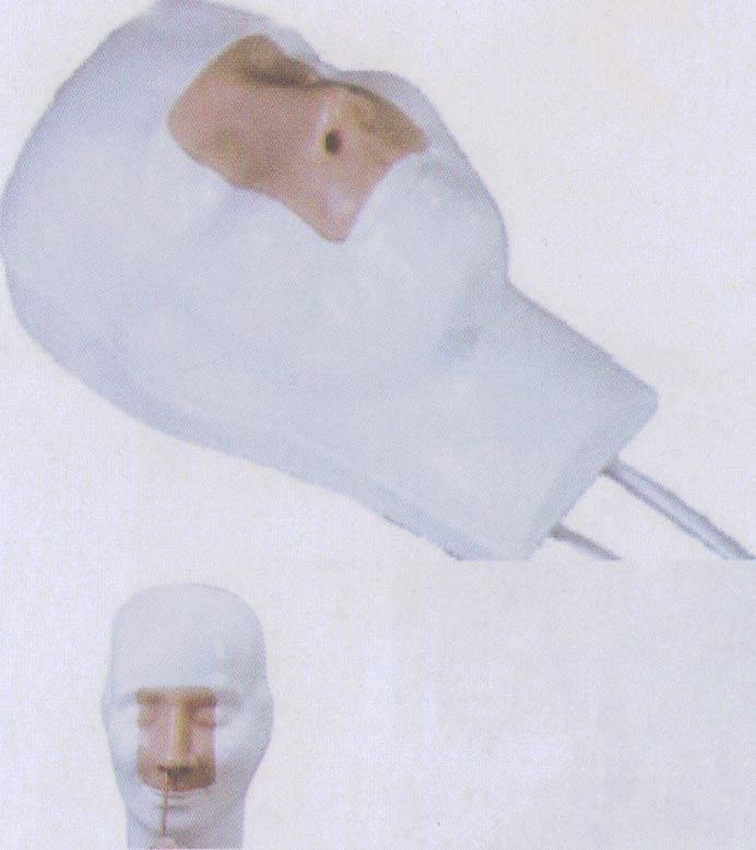 高級鼻腔出血模型