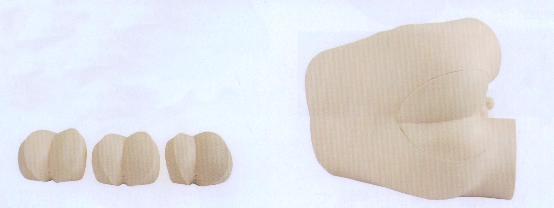 高級直腸指診檢查模型