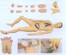 高級組合式基礎護理訓練模型