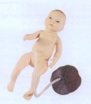 高級新生兒臍帶護理模型