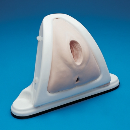 會陰切開術(shù)訓練模型