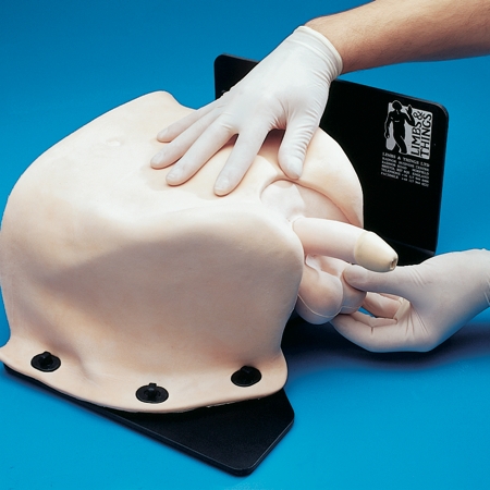 臨床男性盆腔檢查訓練模型