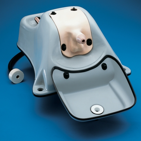 泌尿系窺鏡訓練模型