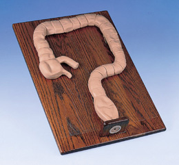 乙狀結(jié)腸鏡檢查模擬