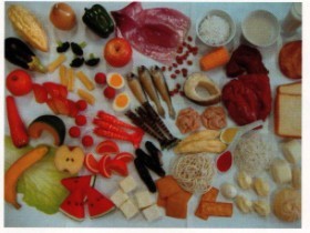 糖尿病營養(yǎng)指導(dǎo)用模型