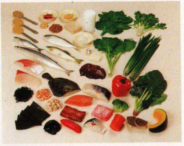 兒童營養(yǎng)指導(dǎo)實(shí)物模型