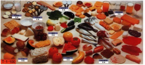 教學(xué)營養(yǎng)指導(dǎo)模型