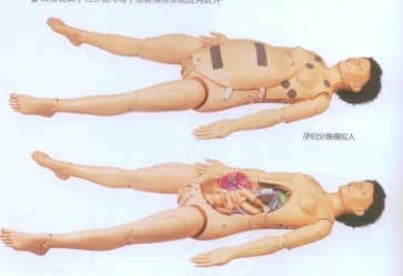 高智能數(shù)字化分娩與母子急救模擬人