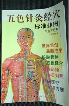 五色針灸經(jīng)穴標(biāo)準(zhǔn)掛圖|針灸經(jīng)穴標(biāo)準(zhǔn)掛圖|中醫(yī)人體針灸掛圖