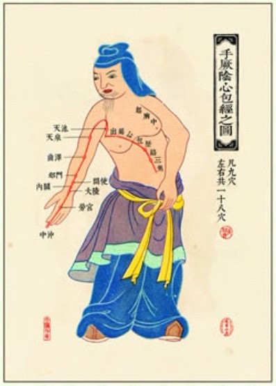 中醫(yī)針灸掛圖：手厥陰心包經(jīng)之圖(卡片)