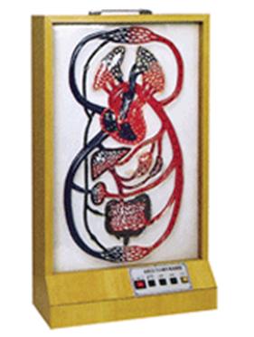 大、小循環(huán)電動模型