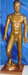 中醫(yī)人體針灸模型|運動式古銅色人體針灸模型（85CM）