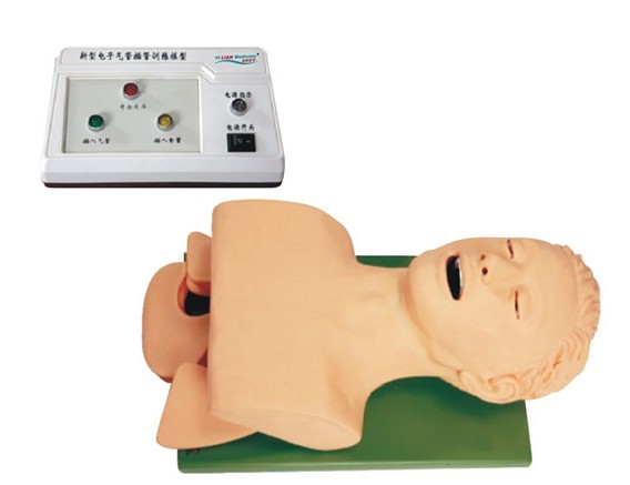電子人體氣管插管訓(xùn)練模型（帶報警）