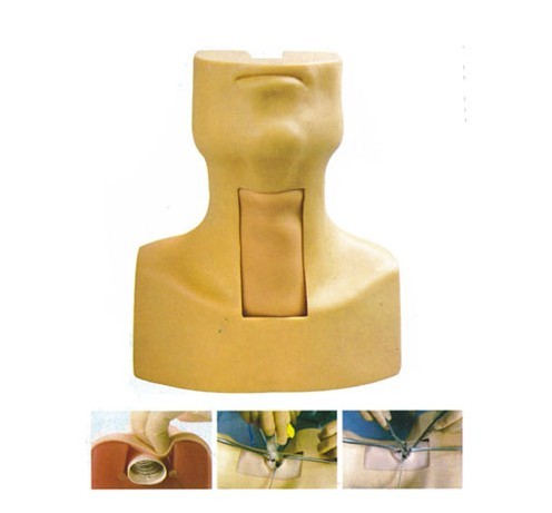 高級氣管切開插管訓(xùn)練模型