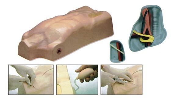 中心靜脈注射穿刺軀干訓(xùn)練模型