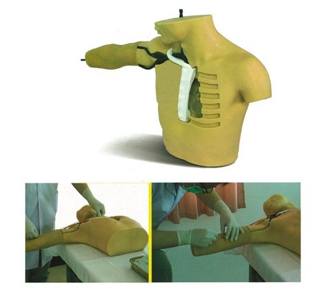 外周穿刺、中心靜脈穿刺插管模型