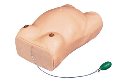 高級(jí)孕婦檢查模型