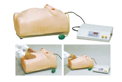 高級(jí)電腦孕婦檢查模型