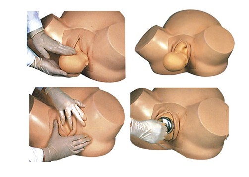 高級(jí)助產(chǎn)訓(xùn)練模型