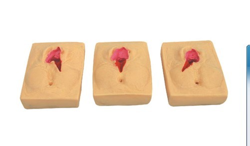 高級(jí)硅膠會(huì)陰切開縫合練習(xí)模型（3件/套）