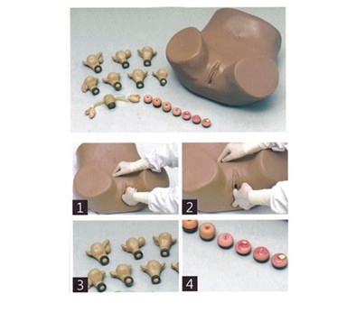 高級(jí)婦科檢查模型