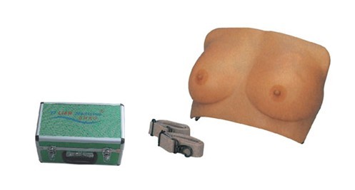 高級(jí)乳房檢查模型