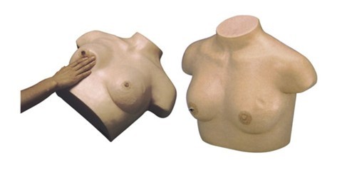 高級(jí)乳腺視診與觸診模型