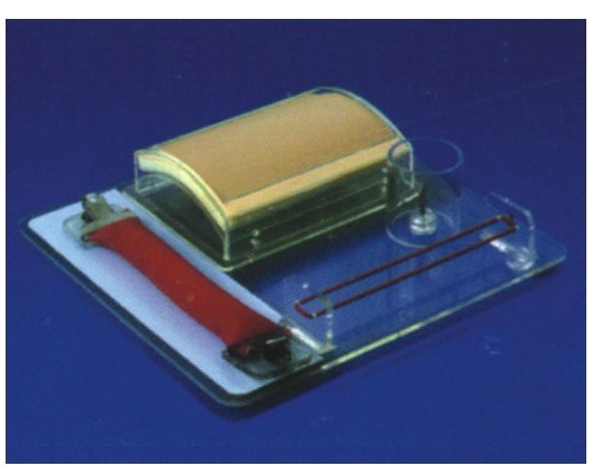 高級(jí)外科多技能訓(xùn)練模型