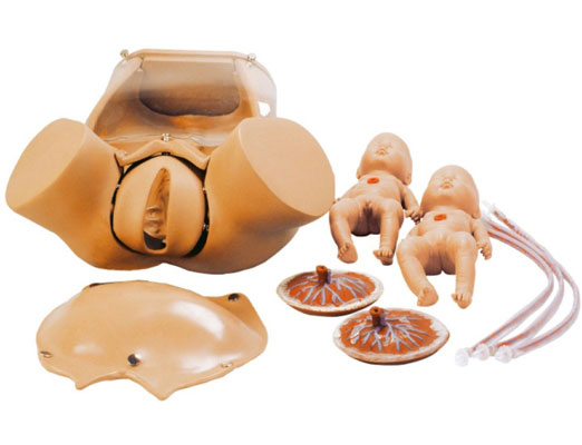 高級(jí)分娩綜合技能訓(xùn)練模型